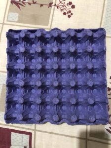 Lire la suite à propos de l’article Egg tray mold