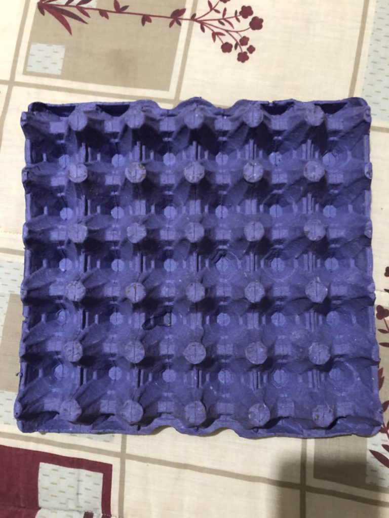 Lire la suite à propos de l’article Egg tray mold