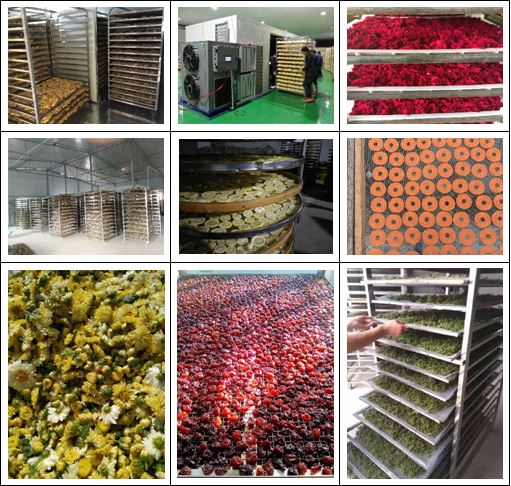You are currently viewing Machines De Séchage De Fruits Déshydratation Des Fruits